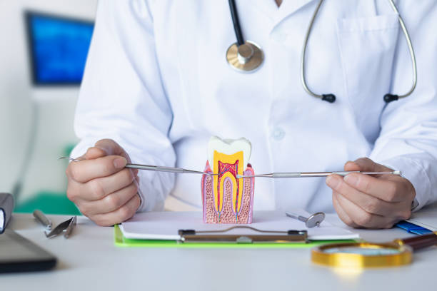 Best Emergency Dental Care for Abscessed Tooth in Stormstown, PA